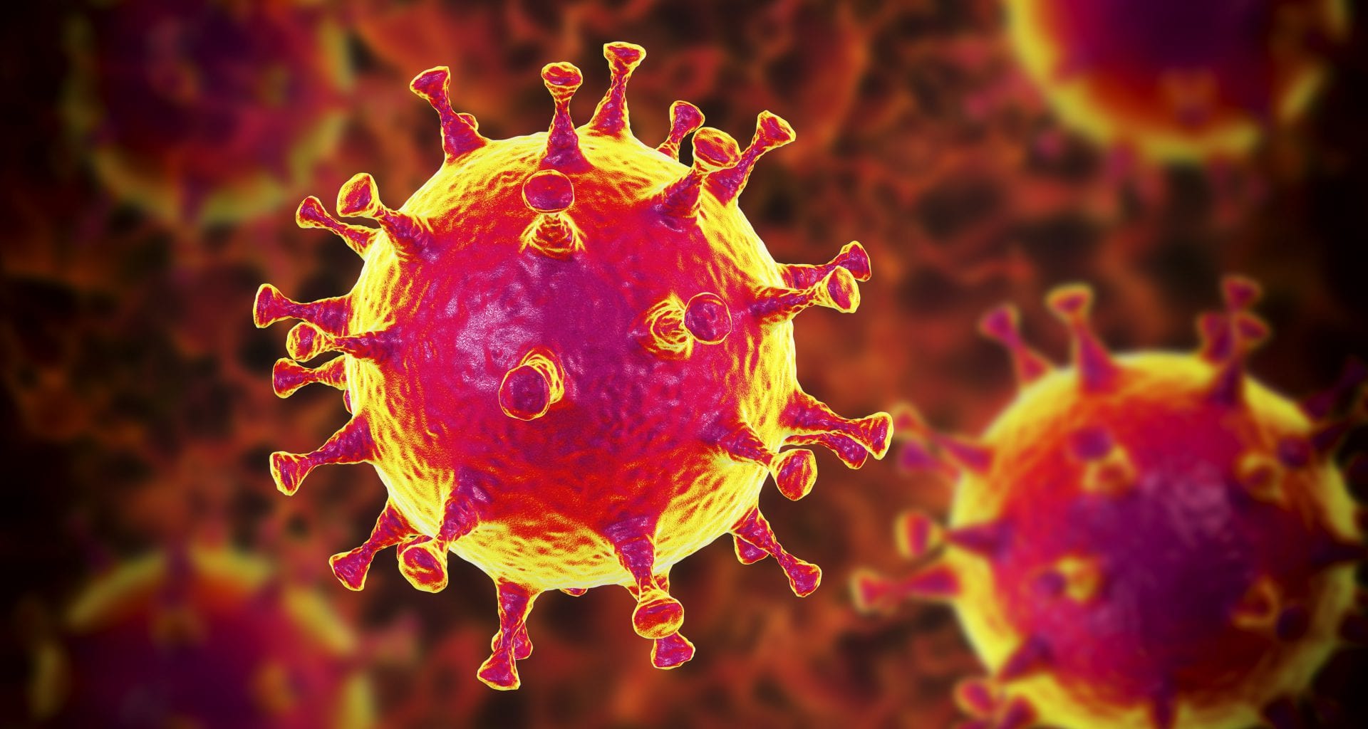 de Westerkim en het coronavirus