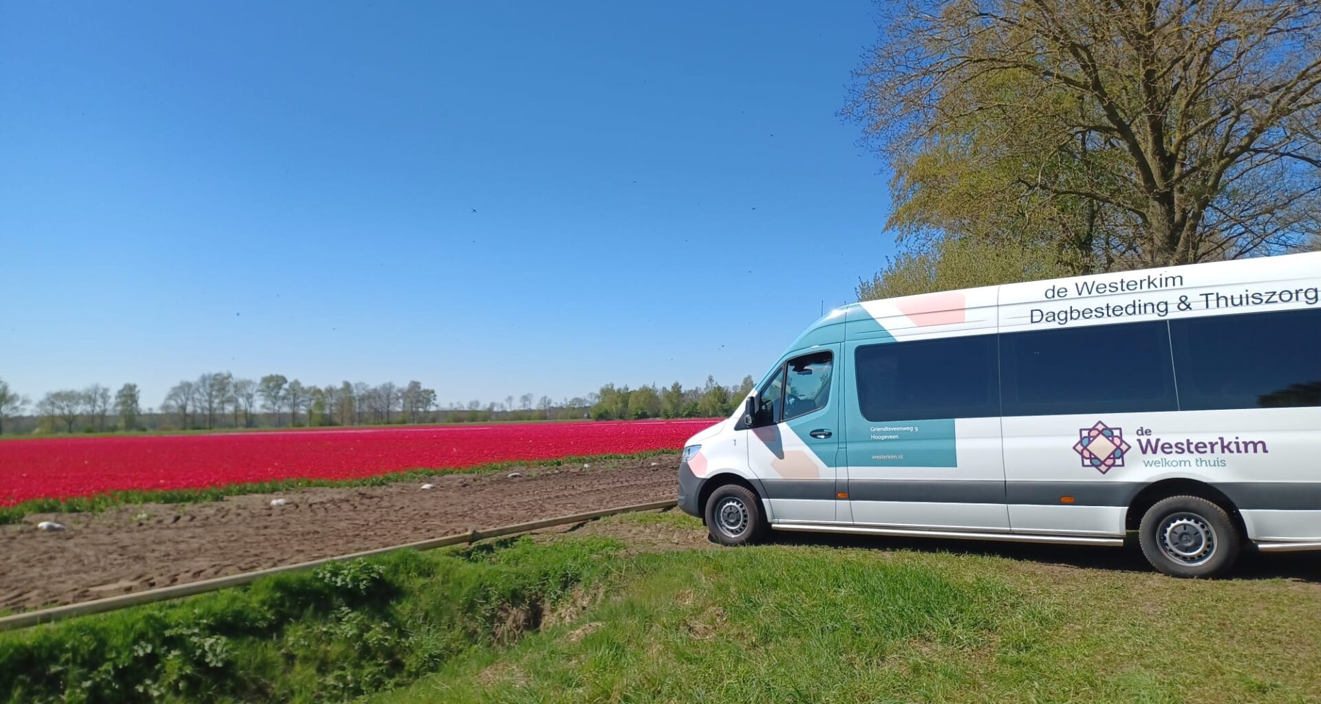 Dagbesteding